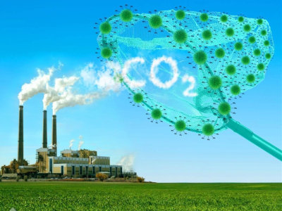 DỊCH VỤ KIỂM KÊ KHÍ NHÀ KÍNH  (1)