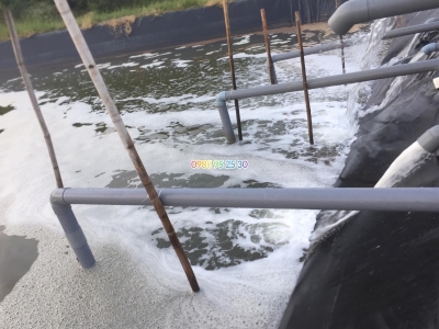 Xử lý nước ao nuôi tôm